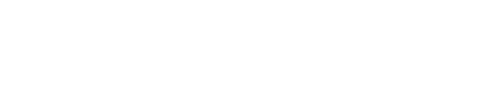 De Vlotte Vloot