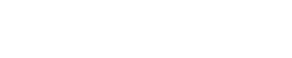 De Vlotte Vloot